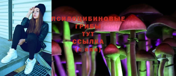 дмт Богородск