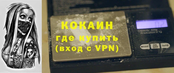 дмт Богородск
