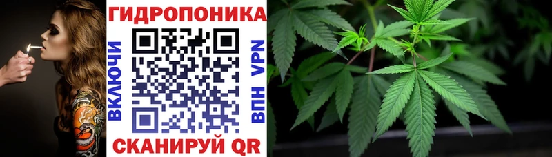 Канабис конопля  Купить  Верхоянск 